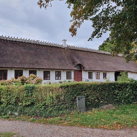 Ragnhilds Gard, Hostel Nyord Eksteriør billede